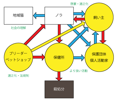 殺処分の構造