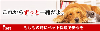 ペット保険の加入でライフボートを支援
