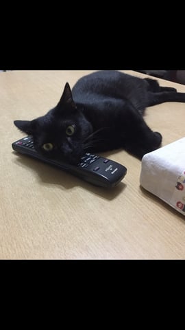 ルル