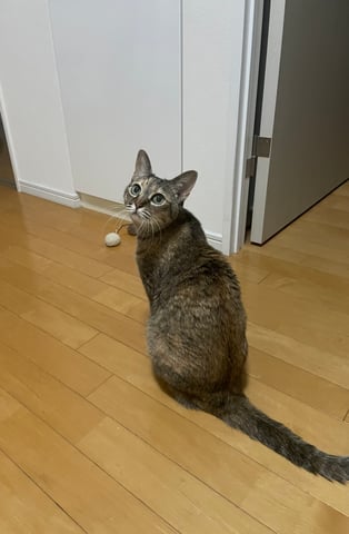 もね