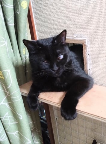 くろべえ