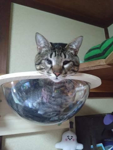 おはぎ