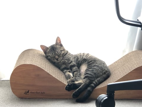 ふみ
