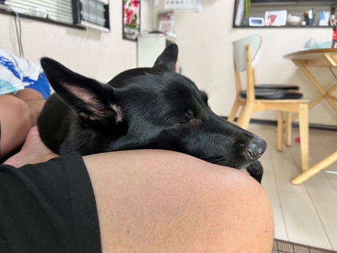 めぐ