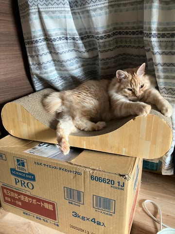 レモン