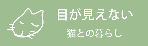 目の見えない猫との暮らし