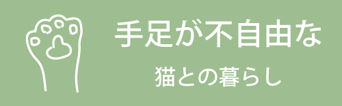 手足の不自由な猫との暮らし