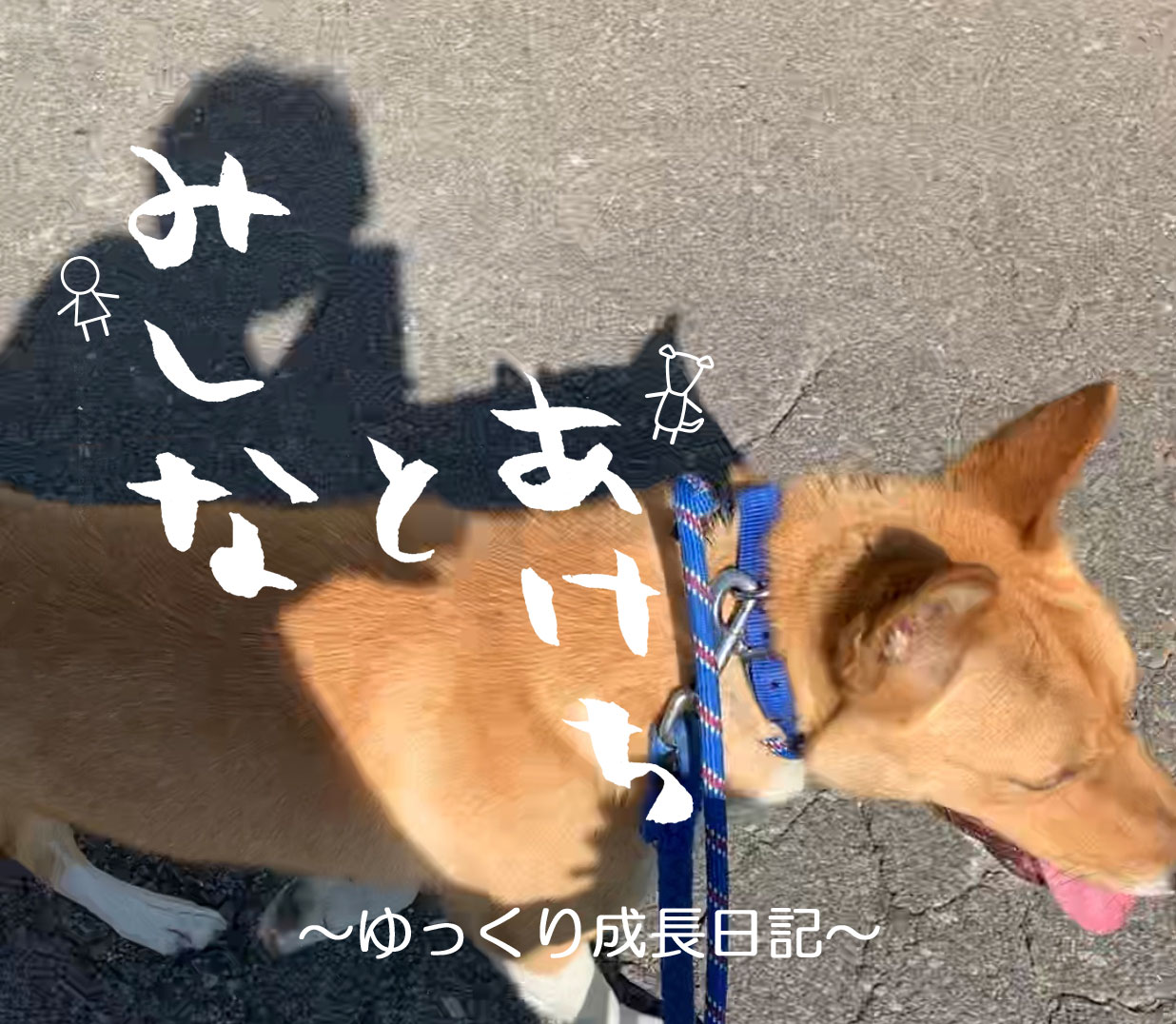 みしな（人）とあけち（犬）～ゆっくり成長日記～