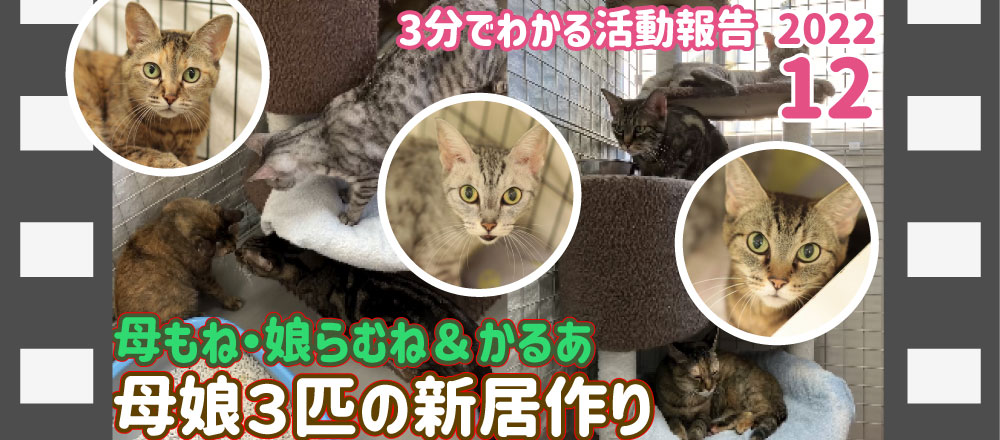 活動報告12月号