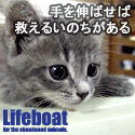 NPO法人犬と猫のためのライフボート～子犬子猫の里親募集中～