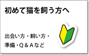 初めて猫を飼う方へ