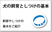 犬の飼育としつけの基本