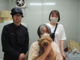 CD3592の里親決定写真