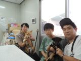 CD3659の里親決定写真