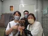 CD3661の里親決定写真