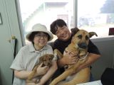 CD3665の里親決定写真