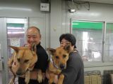 ID4562の里親決定写真