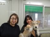 ID4717の里親決定写真