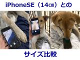 ID4730の写真1