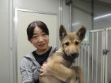 ID4731の里親決定写真