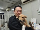 ID4741の里親決定写真