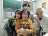 ID4753の里親決定写真