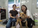 ID4811の里親決定写真