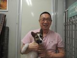 ID4881の里親決定写真