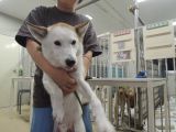 TD116の里親決定写真